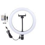 LED Ring Light Factory - 10inch TikTok Ring Light with Phone Holder RGB Light Desktop Tripod
