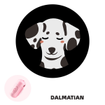 LED Pet Dispenser Supplier - Wireless LED Poop Holder Background Atmosphere Night Photography