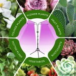 折叠植物灯厂家-折叠三脚架LED四头射频遥控全光谱灯