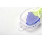 Baby Teething Set Manufacturer - Organic Food Grade Fruit