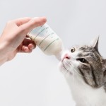 宠物喂养瓶厂家-60毫升硅胶哺乳器套装