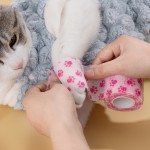 宠物绷带生产商-自粘棉绷带