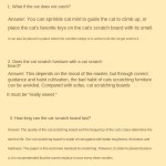 瓦楞猫玩具厂家-特大号瓦楞纸垂直板盆猫抓板