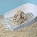 膨润土猫砂厂家-批发低价定制超吸水无尘膨润土猫砂