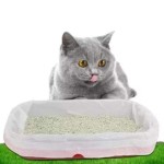 可降解袋厂家-可堆肥防水定制抽绳垃圾袋