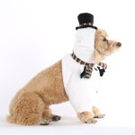 圣诞老人服装厂家-圣诞老人服装可爱纯色图案温暖冬季用品圣诞