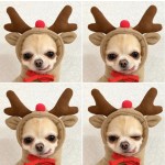 卡通狗连帽衫厂家-厂家批发热销卡通狗连帽衫可爱香蕉毛衣