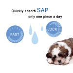 狗尿布厂家-OEM ODM定制一次性母狗尿布环保