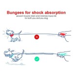 狗牵引绳厂家-高品质批发定制双层重型散步牵引绳