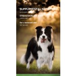 猫益生菌供应商-开胃调理肠胃