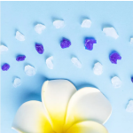 猫砂生产商-硅胶快速清洁