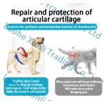 硫酸软骨素供应商-天然膳食补充