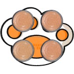 宠物罐头供应商-375克通用猫狗