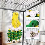 鹦鹉啃咬玩具厂家-彩色天然鸟