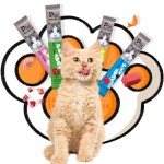 猫零食供应商-15克液体零食现货