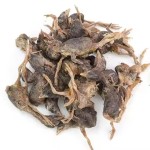 冻干鹌鹑供应商-宠物食品营养厂家