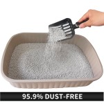 低尘猫砂厂家-工厂批发低尘猫咪宠物强结团膨润土