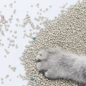 Mineral Litter Manufacturer - Good Absorbent Bentonite 99.99% Dust-free Broken Mineral Cat Sand