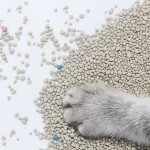 散装膨润土猫砂厂家-制造商宠物膨润土散装猫砂批发供应