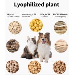 牛肝零食厂家-鼎新有机冻干牛肝零食新鲜宠物食品OEM