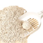 无尘猫砂厂家-OEM工厂易用活性炭豆腐猫砂