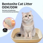 2025热销猫砂厂家-2025热销过滤厂OEM ODM无尘球膨润土20升