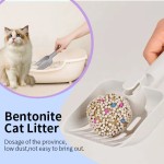 2025热销猫砂厂家-2025热销过滤厂OEM ODM无尘球膨润土20升