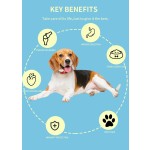 工厂价厂家-工厂价20公斤干狗粮实惠批发供应狗粮