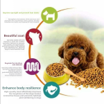 Cat Food Manufacturer - OEM ODM Chinese Championship High Nutrient High Protein Low Fat