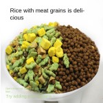 Cat Snack Supplier - Latest Arrival Freeze Dried Cat Grass Cube High-protein Cat Treats