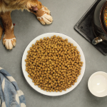 Cat Food Manufacturer - OEM ODM Chinese Championship High Nutrient High Protein Low Fat