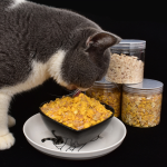 Pet Food Strips Supplier - OEM Organic Grain-Free Pet Dry Chicken Meat Strips Healthy Custom Label