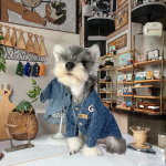 猫罐头厂家-85克OEM高蛋白鸡丝兔肉配方皮肤毛发健康