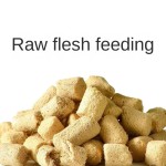 Pet Food Factory - Factory Direct Wholesale Dry Food Chicken Egg Yolk Freeze-Dried Mixed Barrel