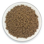 Cat Food Production Factory - Cat Food High Protein Content Low Temperature Baking Process