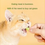 Pet Snacks Manufacturer - Freeze-Dried 500g Chicken Snacks High Protein Raw Bone Dried Treats