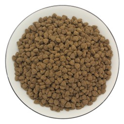 Pet Water Bottle Supplier - OEM New Design Chinese Portable Dog Water Bottle Food Box Auto