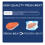 Cat Food Production Factory - Cat Food High Protein Content Low Temperature Baking Process