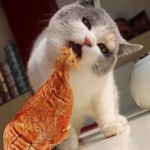 Pet Bed Manufacturer - Ins Warm Cuddly Style Pet Bed Pet Sofa Cartoon Pattern Printed Cotton