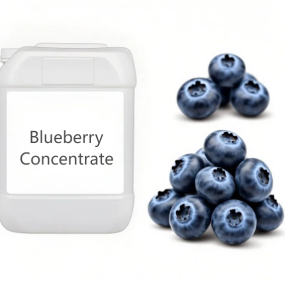 Blueberry Plant Extracts Supplier - High Quality Liquid for Candy Drink Cake