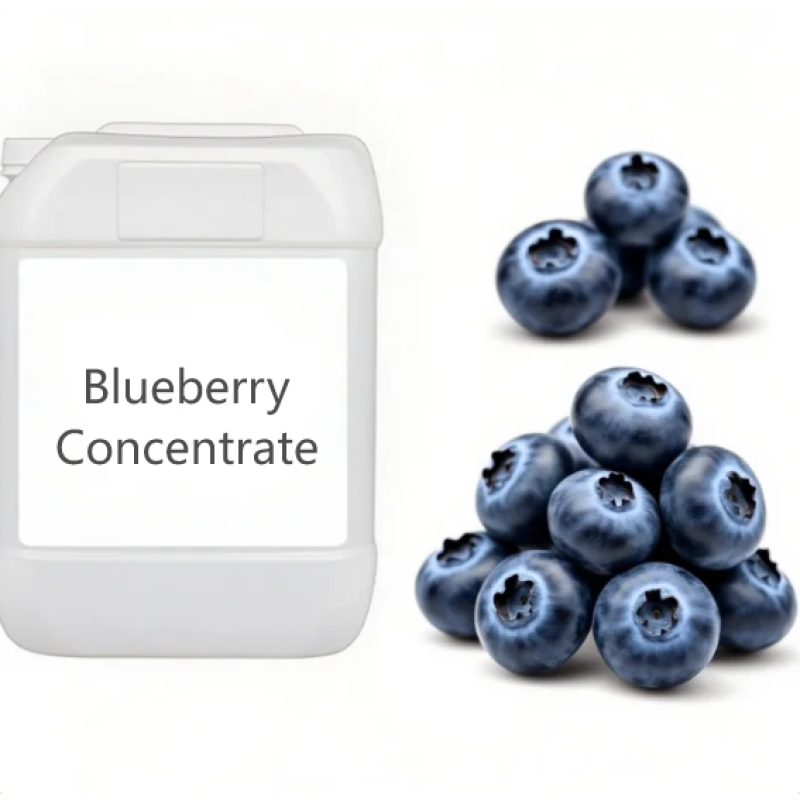 Blueberry Plant Extracts Supplier - High Quality Liquid for Candy Drink Cake