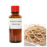 Houttuynia Cordata Extract Supplier - Traditional Chinese Food Beverage Ingredient