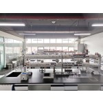 Bitter Melon Juice Concentrate Manufacturer - 100% Pure Natural for Drinks Extract