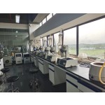 Kale Concentrate Liquid Supplier - Natural Fragrance Essence Beverage Making