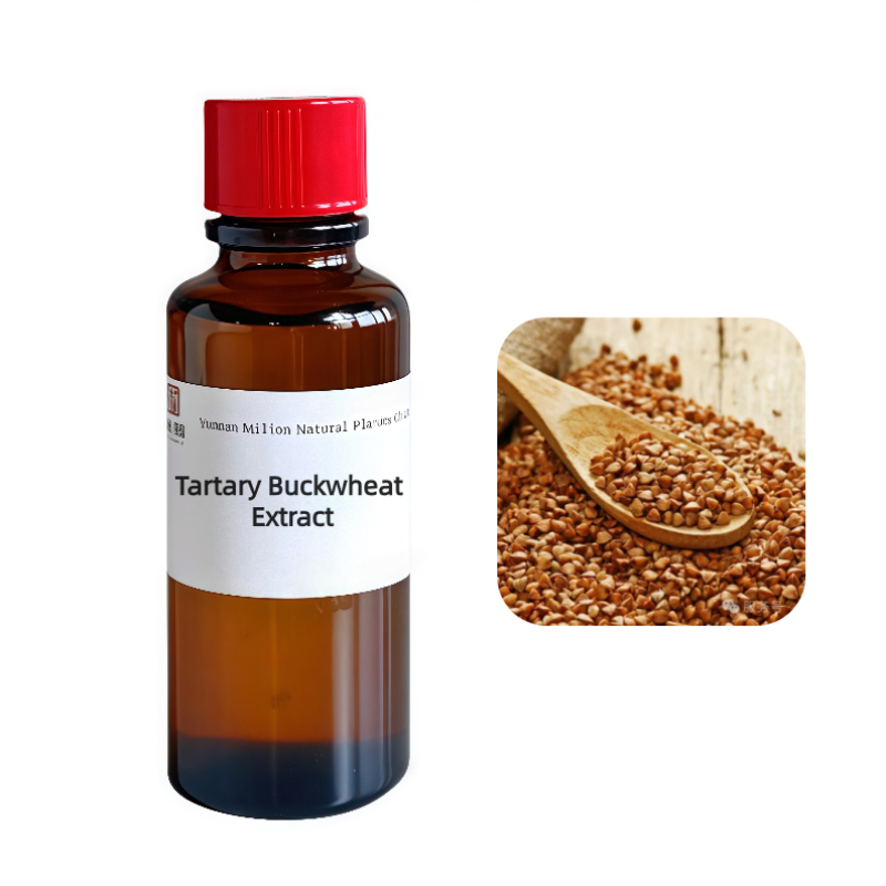Buckwheat Concentrate Liquid Factory - High Quality Natural Flavoring for Beverages
