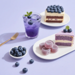 Blueberry Plant Extracts Supplier - High Quality Liquid for Candy Drink Cake