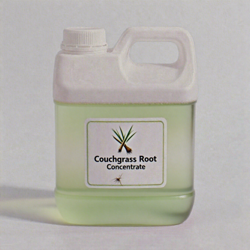Couchgrass Root Concentrate Manufacturer - 100% Pure Natural for Industrial Flavor