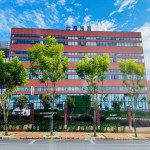 Bitter Tea Extract Supplier - Factory Supply 100% Pure Herb Kuding Concentrate