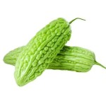 Fermented Bitter Melon Juice Factory - Lactobacillus Concentrated for Adults Children
