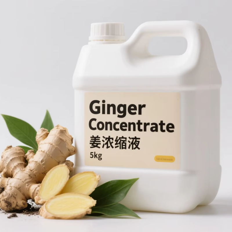Ginger Extract Concentrate Manufacturer - Natural Herb Healthy Supplement Water Soluble
